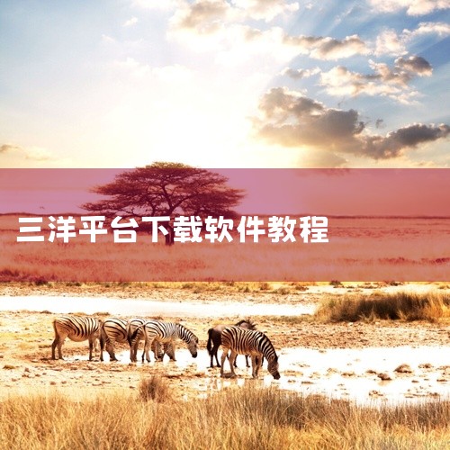 三洋智能电视安装应用商店软件的步骤：首先，准备一个U盘，并下载第三方软件安装包（格式为apk），然后将其复制并存储到U盘的根目录下。接下来，将U盘插入电视机的USB接口。随后，启动电视机，并进入智能电|