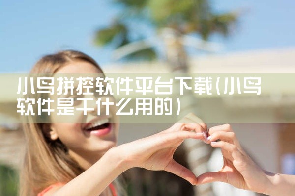 小鸟拼控软件平台下载
