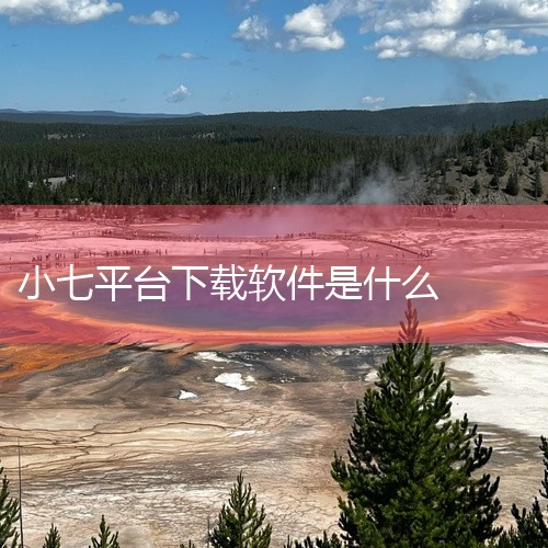 「小七平台app」是一款游戏类应用/资源,为玩家提供相关游戏内容的下载和体验服务。应用界面简洁,功能实用,操作流程简单直观,能够帮助玩家快速获取所需的游戏资源。支持多种游戏类型的内容获取,兼容性良好,,